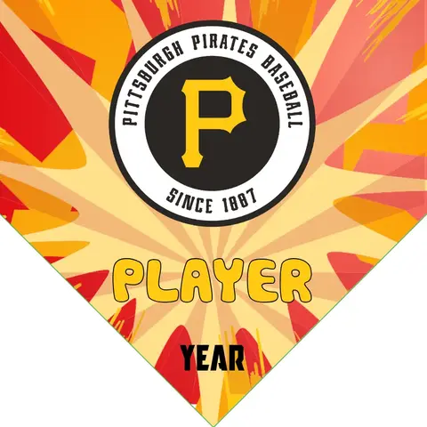 Pittsburgh Pirates 2 Baseball Banner-routine-baseball-banner-images