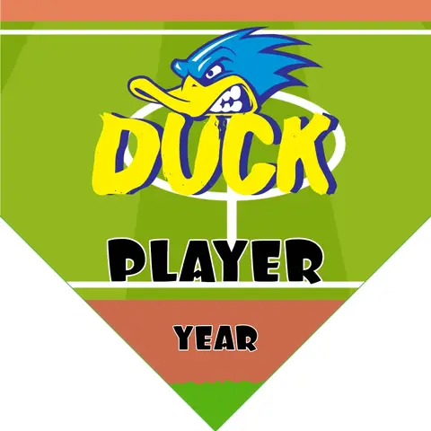 Duck Soccer Banner-free-soccer-web-banner-picture