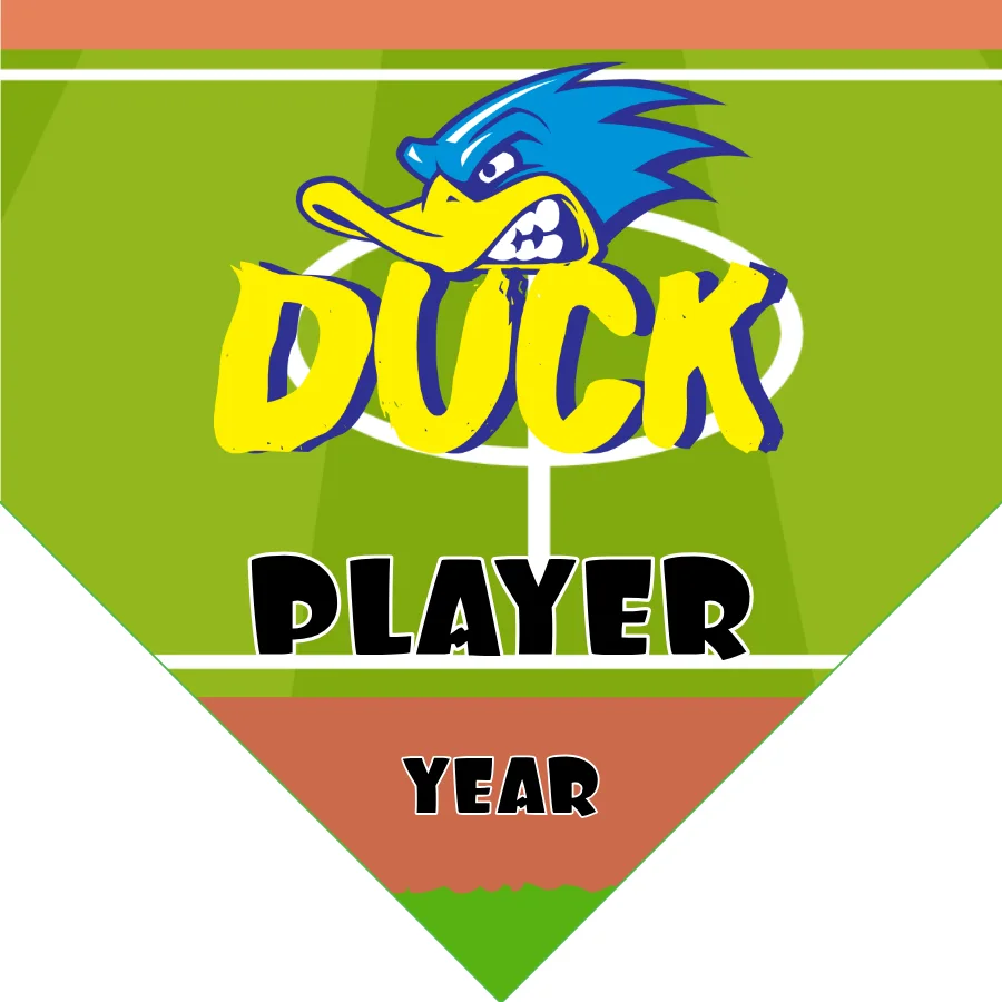 Duck Soccer Banner-free-soccer-web-banner-picture