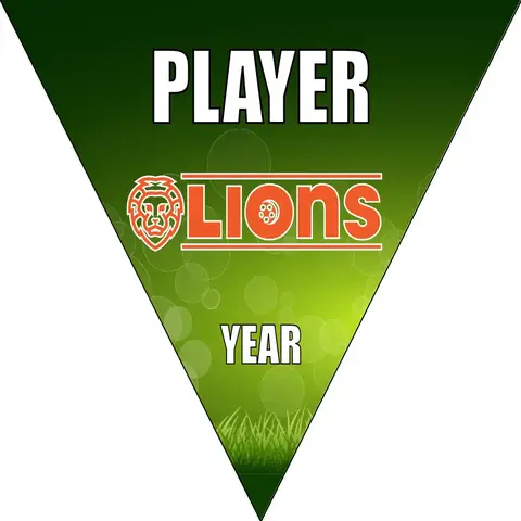 Lions 4 Soccer Banner-banners-for-soccer-team-picture