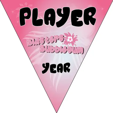 Blasters Bubblegum Soccer Banner-soccer-team-banner-homemade-picture