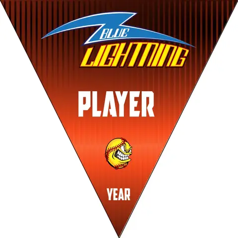 Blue Lightning 1 Softball Banner-baseball-banner-cost-images
