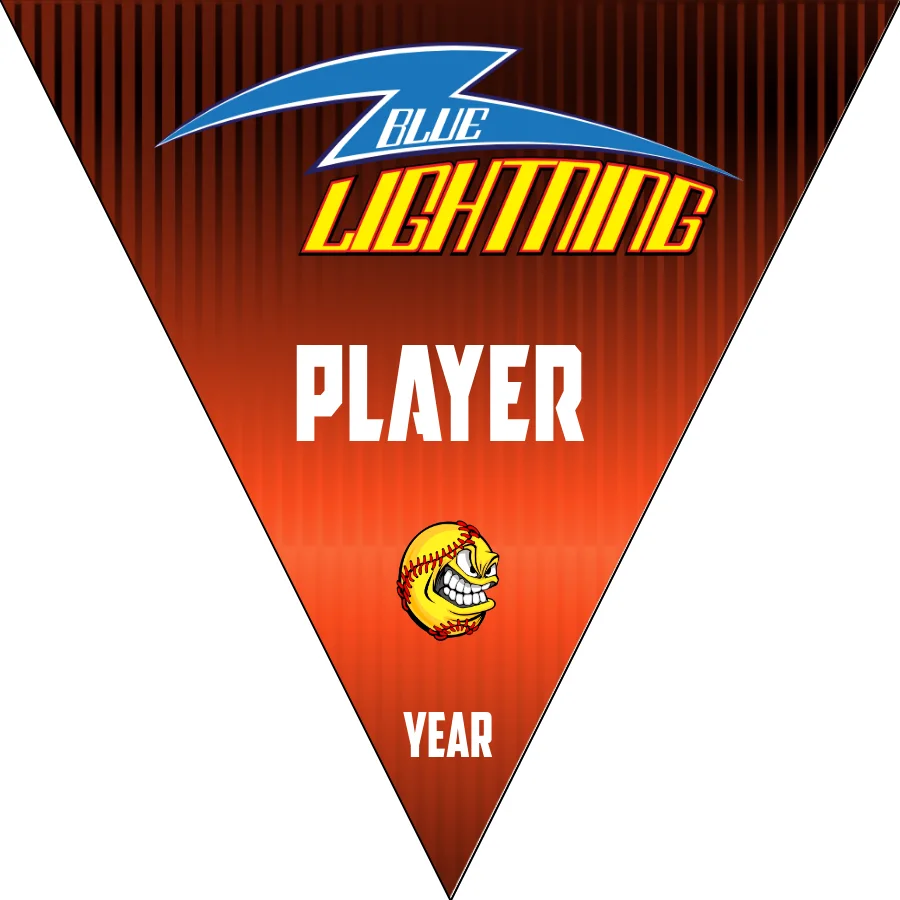 Blue Lightning 1 Softball Banner-baseball-banner-cost-images