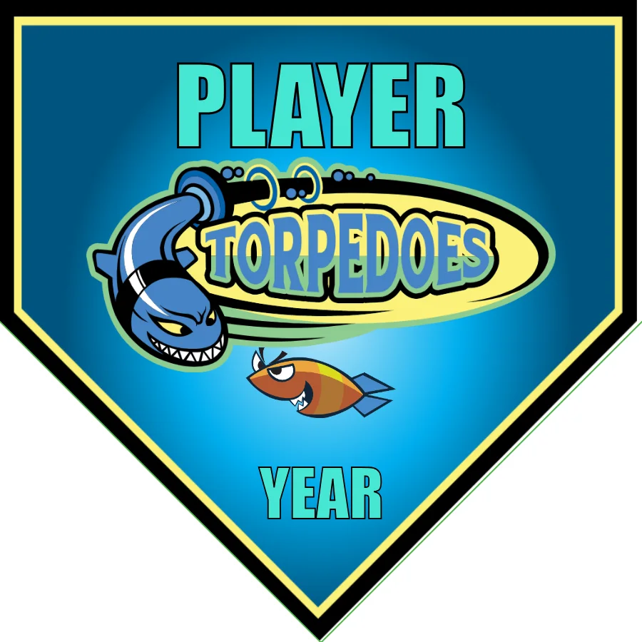 Torpedoes 2 Soccer Banner-soccer-ball-banner-picture