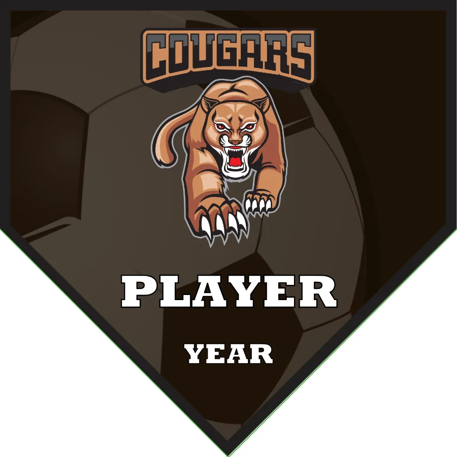 Cougar Soccer Banner-soccer-banner-instructions-picture