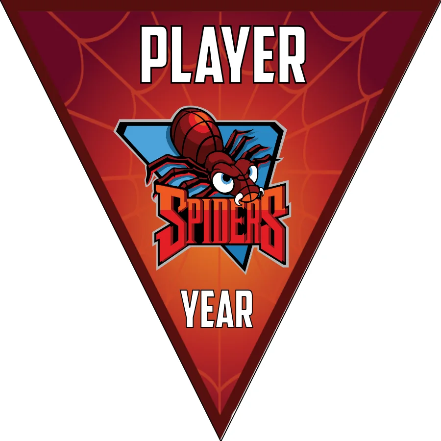 Spiders-red-bg-triangle-softball-banner-ideas-picture