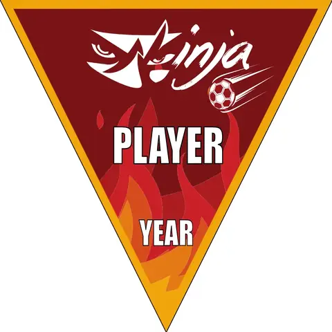 Ninja Soccer Banner-homemade-soccer-banner-ideas-picture