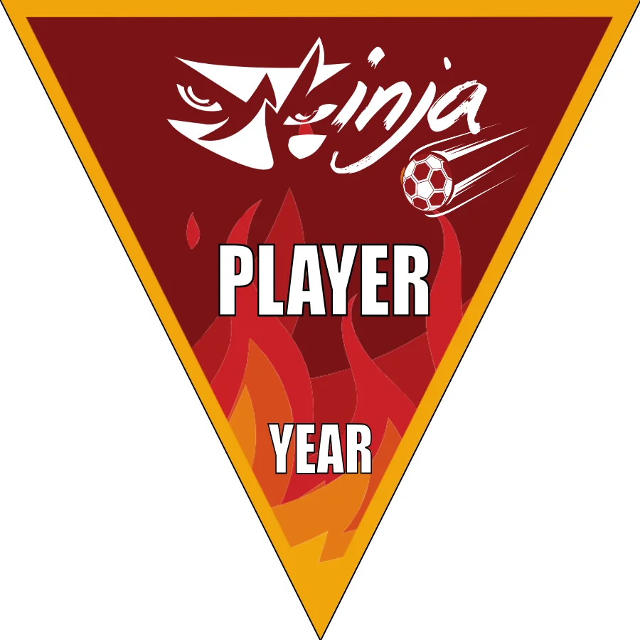 Ninja Soccer Banner-homemade-soccer-banner-ideas-picture