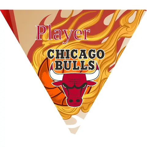 Chicago Bulls Basketball Banner homemade basketball banner images