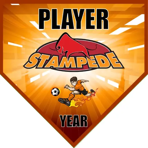 Stampede  Soccer Banner-soccer-banner-picture