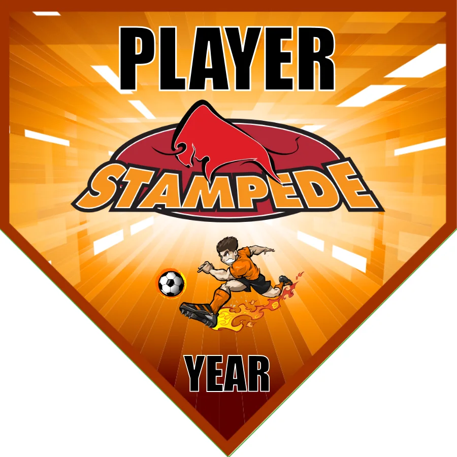 Stampede  Soccer Banner-soccer-banner-picture