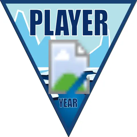 Icebreakers 2 Soccer Banner-soccer-banner-and-stand-picture