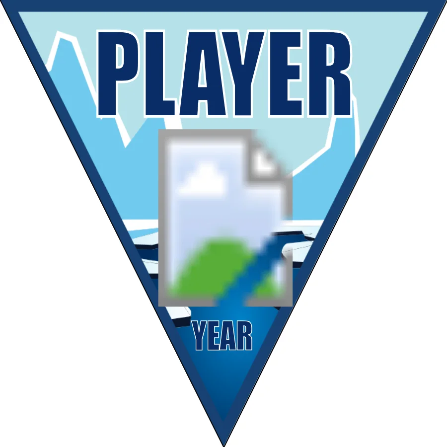Icebreakers 2 Soccer Banner-soccer-banner-and-stand-picture