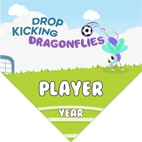 Dragonflies Drop Kicking Soccer Banner-ayso-soccer-team-banner-picture
