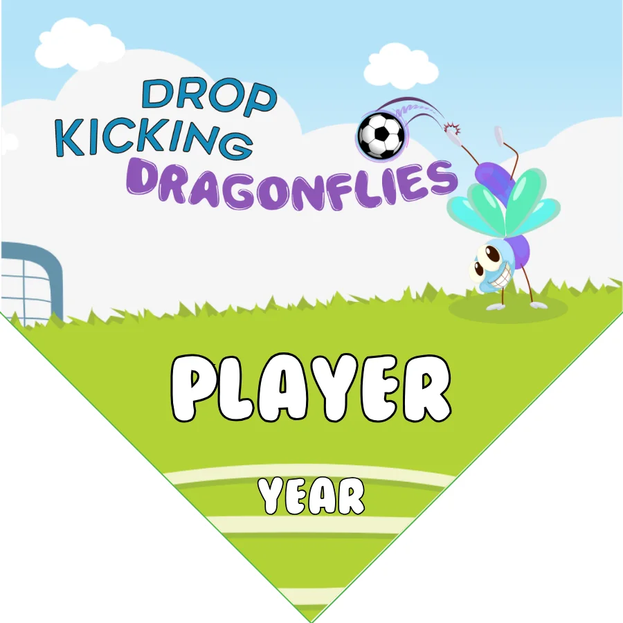 Dragonflies Drop Kicking Soccer Banner-ayso-soccer-team-banner-picture