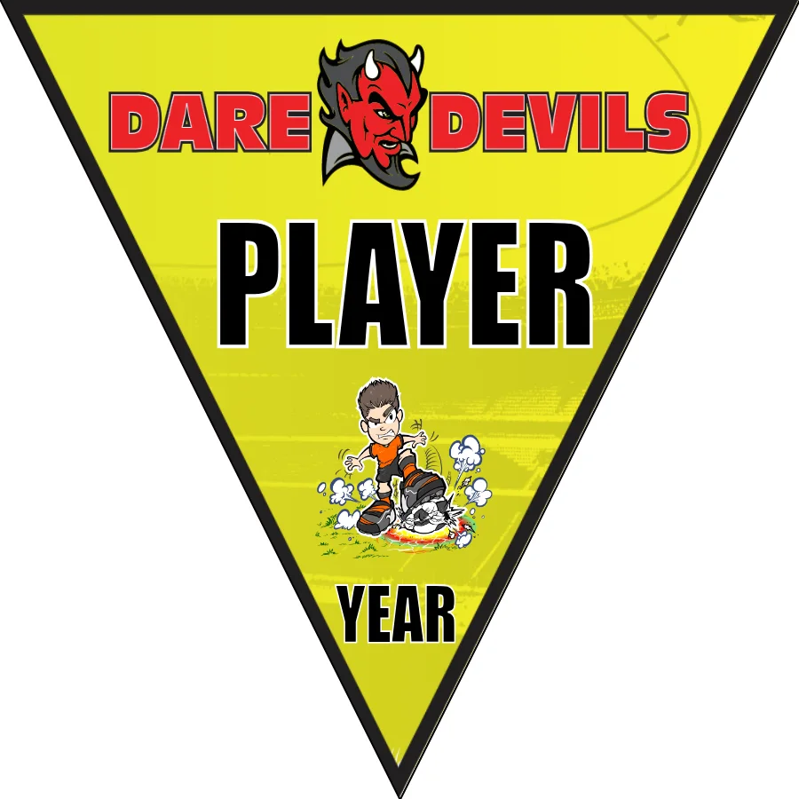 DareDevils Soccer Banner-soccer-banner-names-picture
