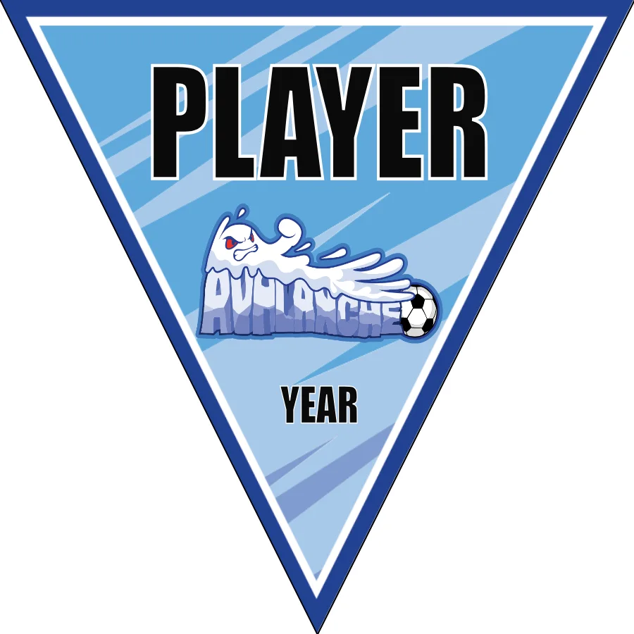 Avalanche 1 Soccer Banner-soccer-banner-and-stand-picture