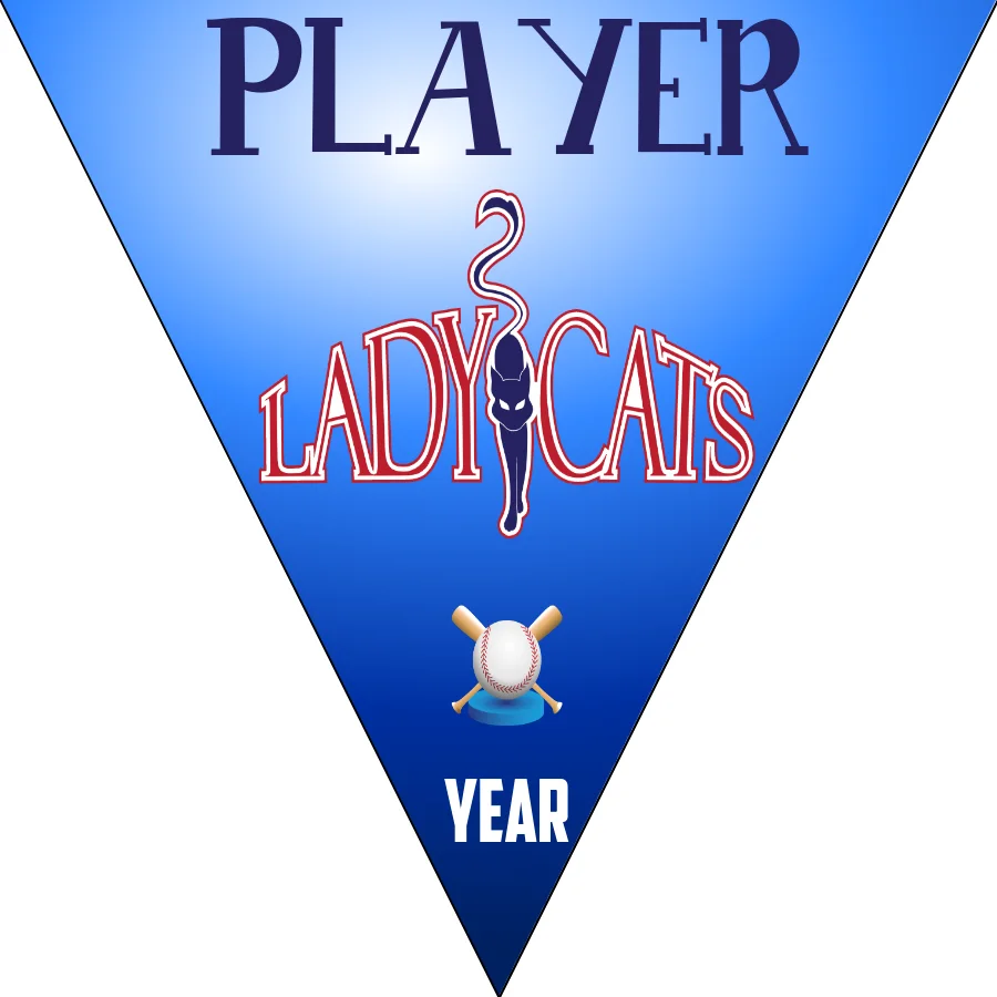 Lady Cats 2 Softball Banner-homemade-softball-banner-images
