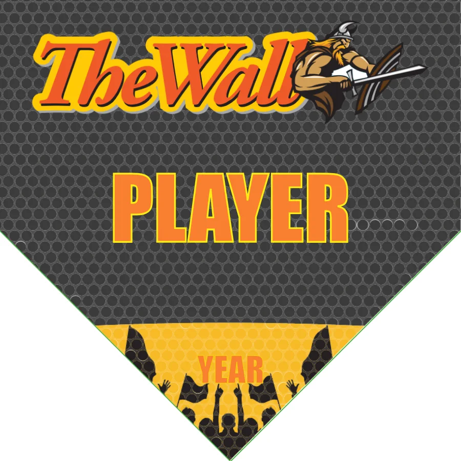 The Wal Soccer Banner-nike-soccer-banner-picture