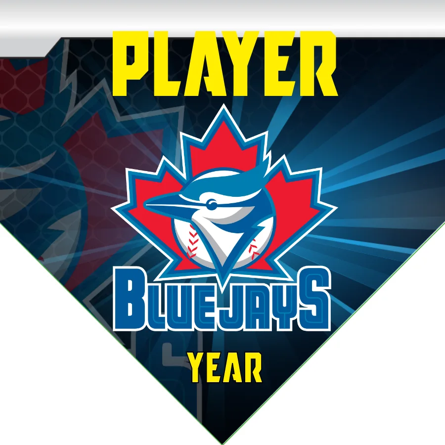 Blue Jays Baseball Banner-rawlings-baseball-banner-images