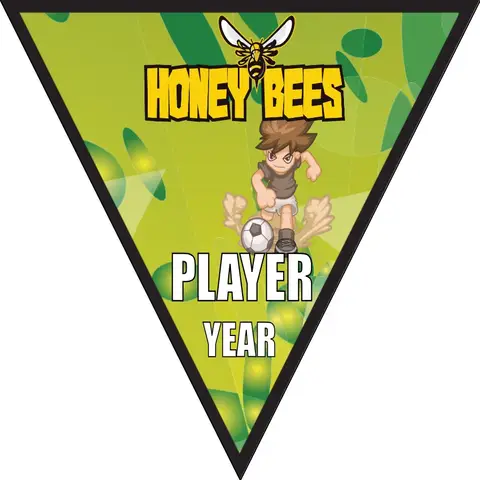 HoneyBee Soccer Banner-soccer-sideline-banners-picture