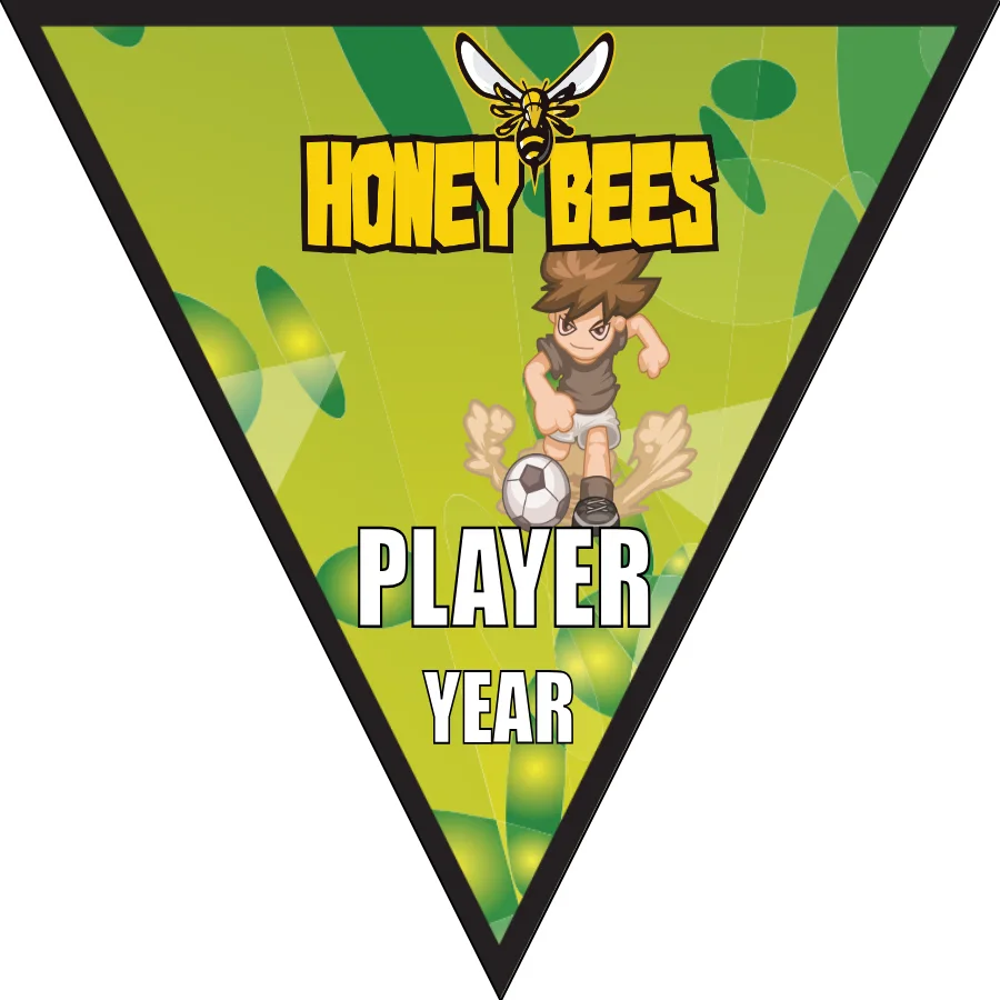 HoneyBee Soccer Banner-soccer-sideline-banners-picture