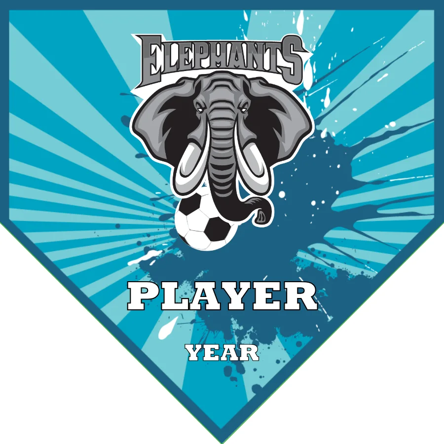 Elephents Soccer Banner-soccer-banners-rancho-cucamonga-picture