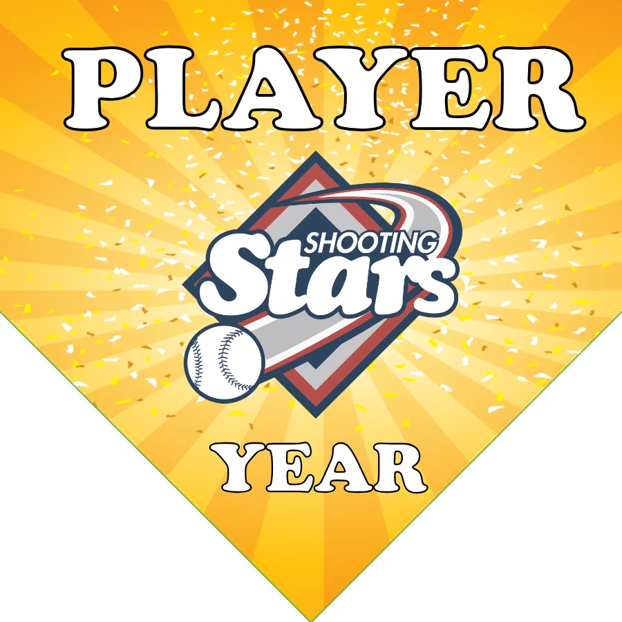 Shootingstar Softball Banner-youth-softball-banners-picture