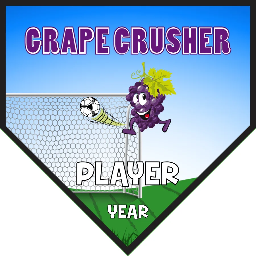 Crusher Grape Soccer Banner-soccer-banner-minecraft-picture