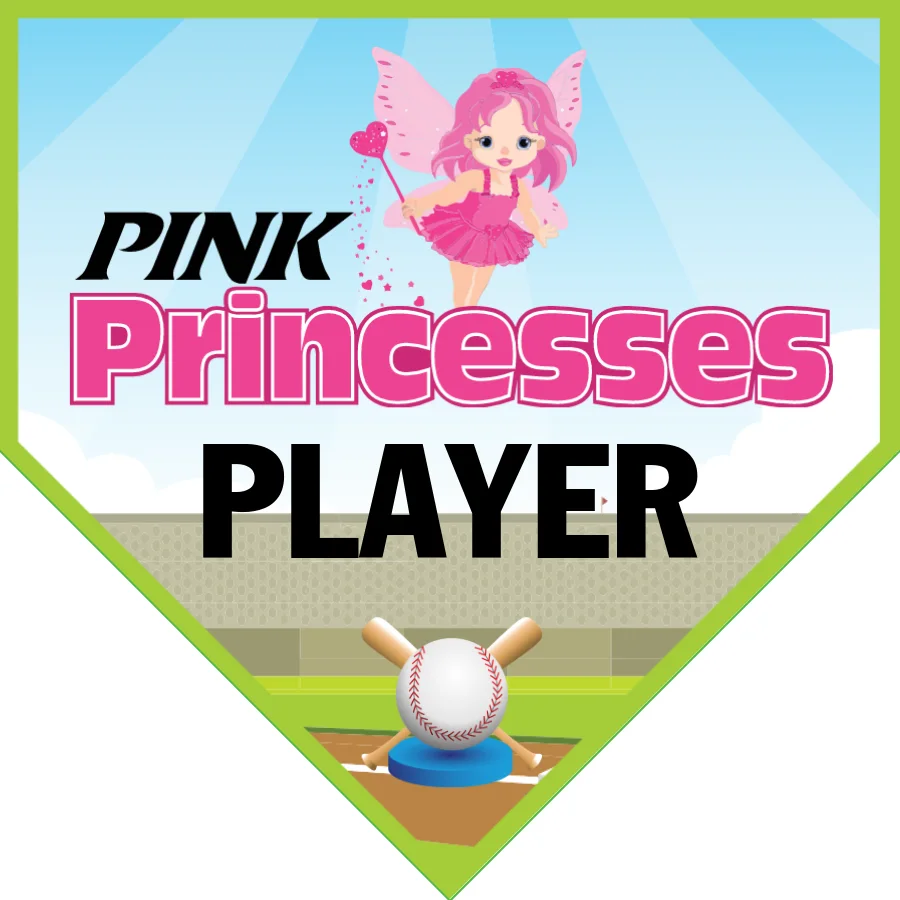 PinkPrincessess Softball Banner-how-to-make-softball-banner-images