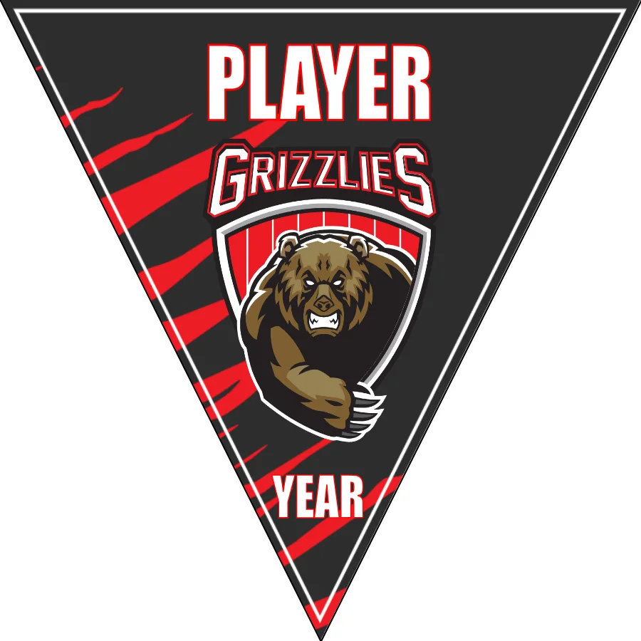Grizzlies Soccer Banner-nike-soccer-banner-picture