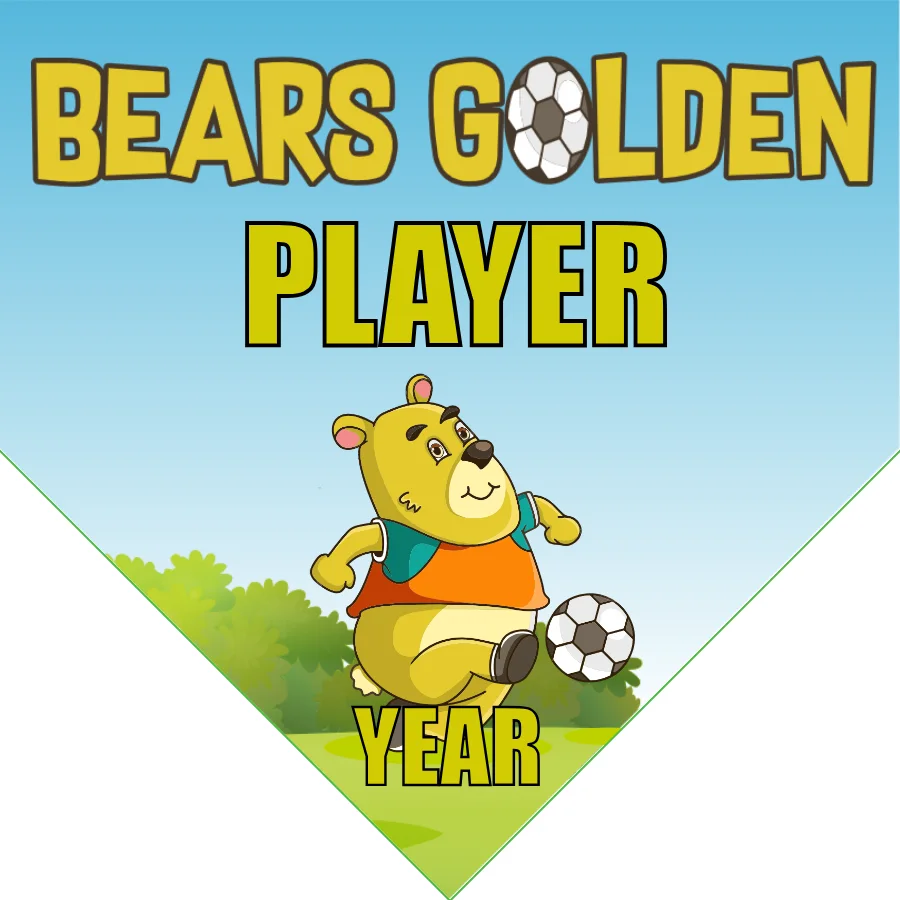 Bears Golden Soccer Banner-soccer-banner-size-picture