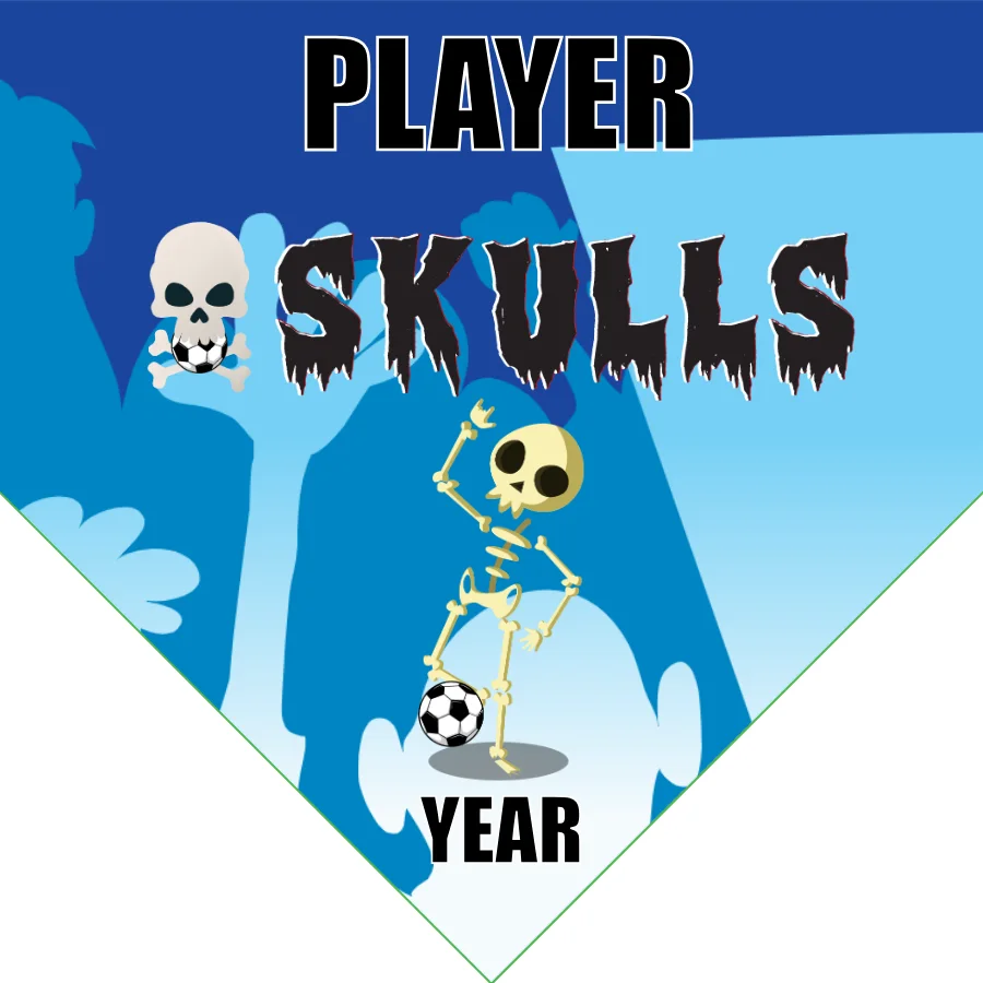 Skulls Soccer Banner-soccer-ball-banner-picture