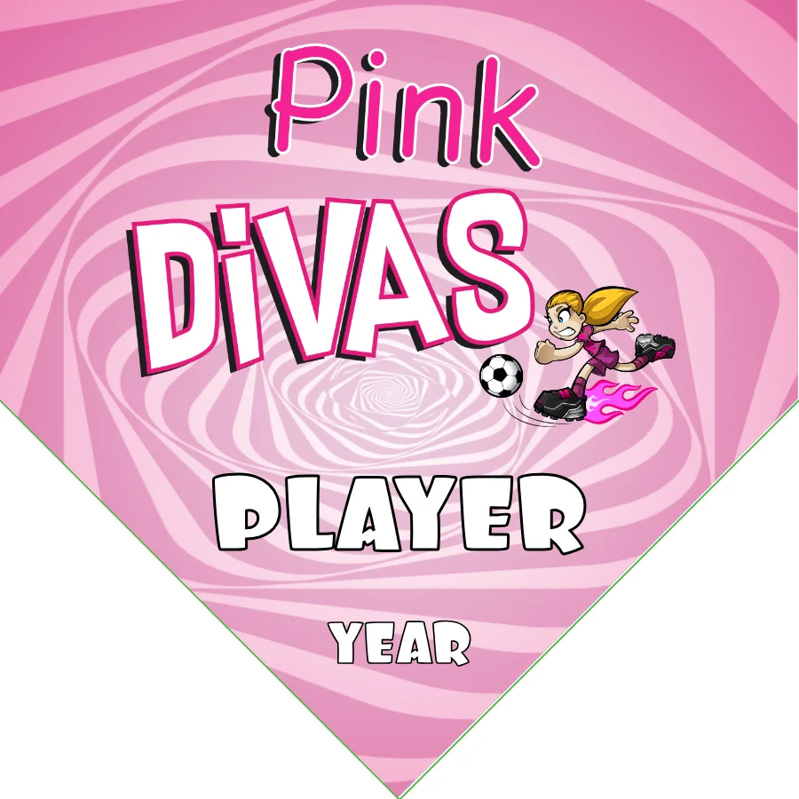 Divas Pink Soccer Banner-soccer-team-banner-stand-picture