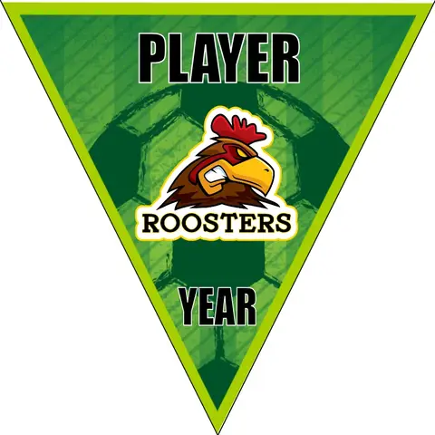 Roosters 1 Soccer Banner-soccer-banners-for-sale-picture