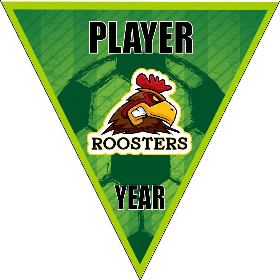 Roosters 1 Soccer Banner-soccer-banners-for-sale-picture
