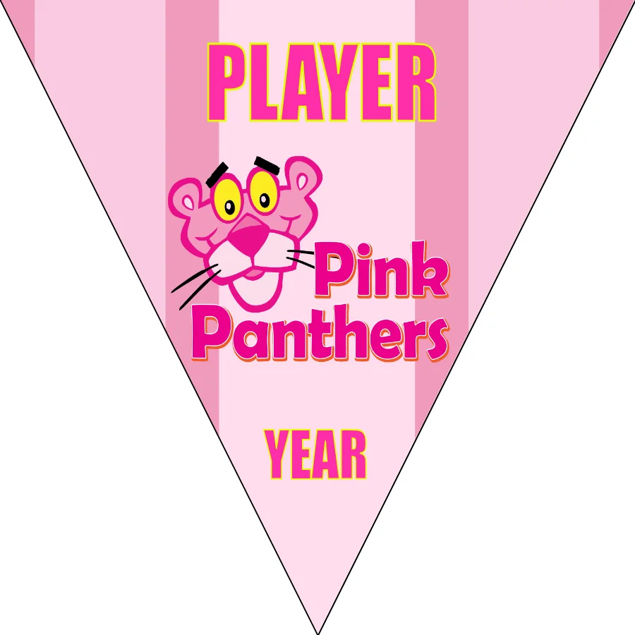 Pink Panthers Soccer Banner-soccer-banners-near-me-picture